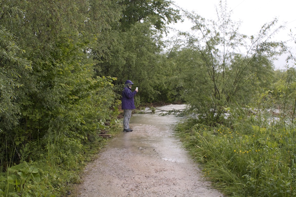 Wanderweg überflutet, nahe Spumbach 2013